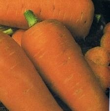 Dietist Eindhoven-groente-verse wortelen